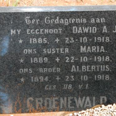 GROENEWALD Dawid A.J. 1885-1918 :: GROENEWALD Maria 1889-1918 :: GROENEWALD Albertus 1894-1918