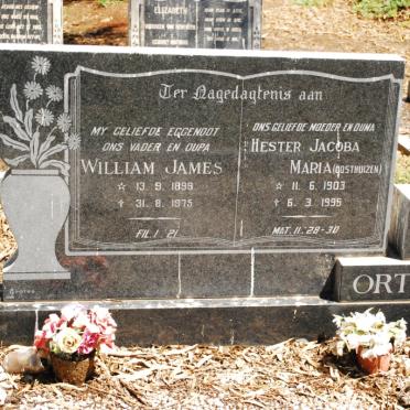ORTON William James 1899-1975 &amp; Hester Jacoba Maria OOSTHUIZEN 1903-1995