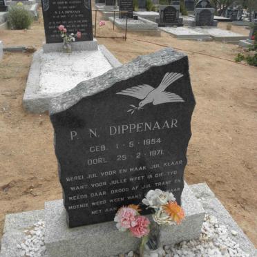 DIPPENAAR P.N. 1954-1971