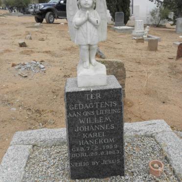 HANEKOM Willem Johannes Karel 1959-1963