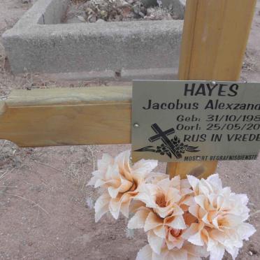 HAYES Jacobus Alexzander 1980-2011