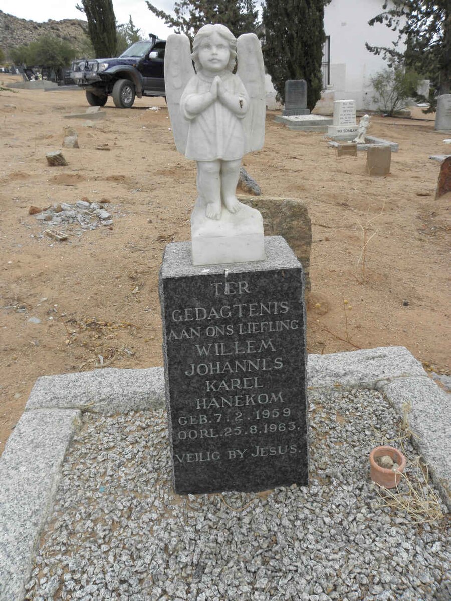 HANEKOM Willem Johannes Karel 1959-1963