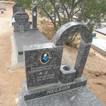 NELSON A.J. 2004-2004