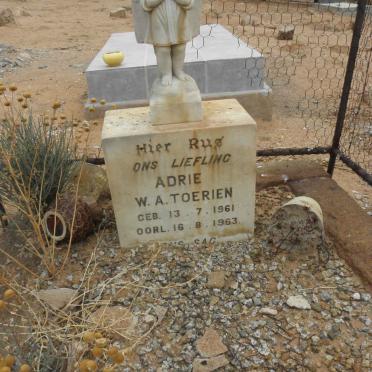 TOERIEN Adrie W.A. 1961-1963