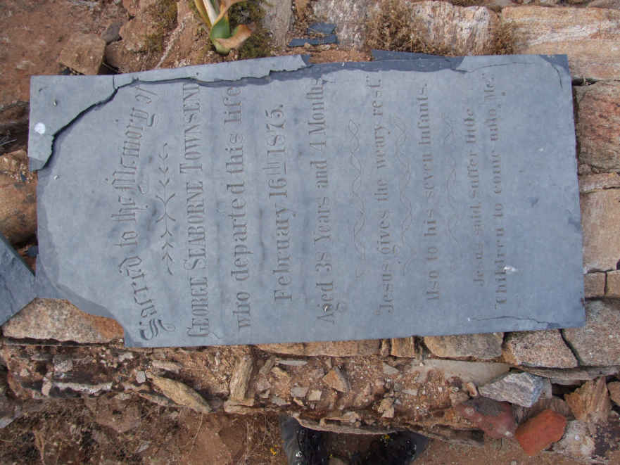 TOWNSEND George Seaborne -1875