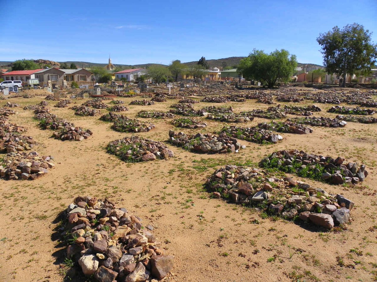 3. Overview / Oorsig van ongemerkte grafte