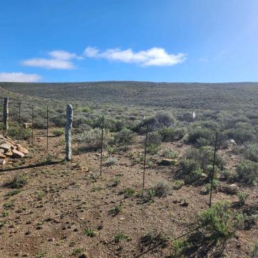 5. Overview / Oorsig