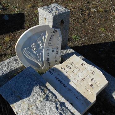 PLESSIS Willem Jacobus, du 1886-1935