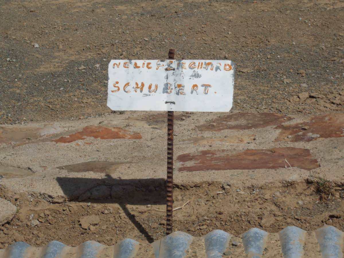 SCHUBERT Nellie nee FRIEGHARD