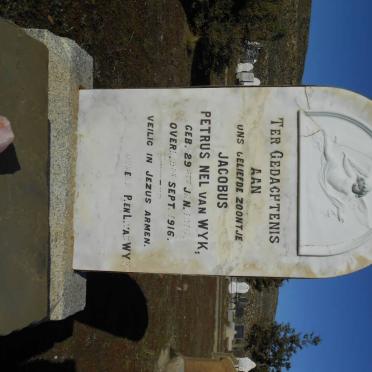 WYK Jacobus Petrus Nel, van 1916-1916