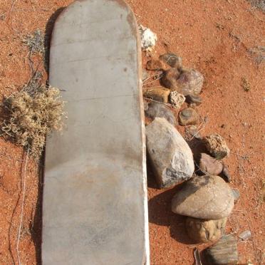 FISHER Nellie M 1952-.