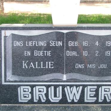 BRUWER Kallie 1971-1979