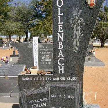 HOLLENBACH David Johannes 1965-1994