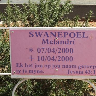SWANEPOEL Melandri 2000-2000