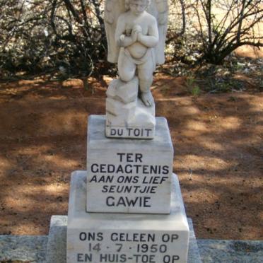 TOIT Gawie, du 1950-1952