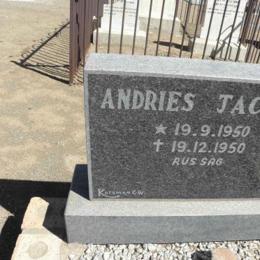 JACOBS Andries 1950-1950