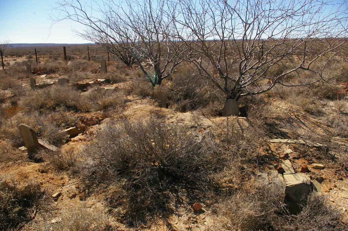 4. Oorsig / Overview