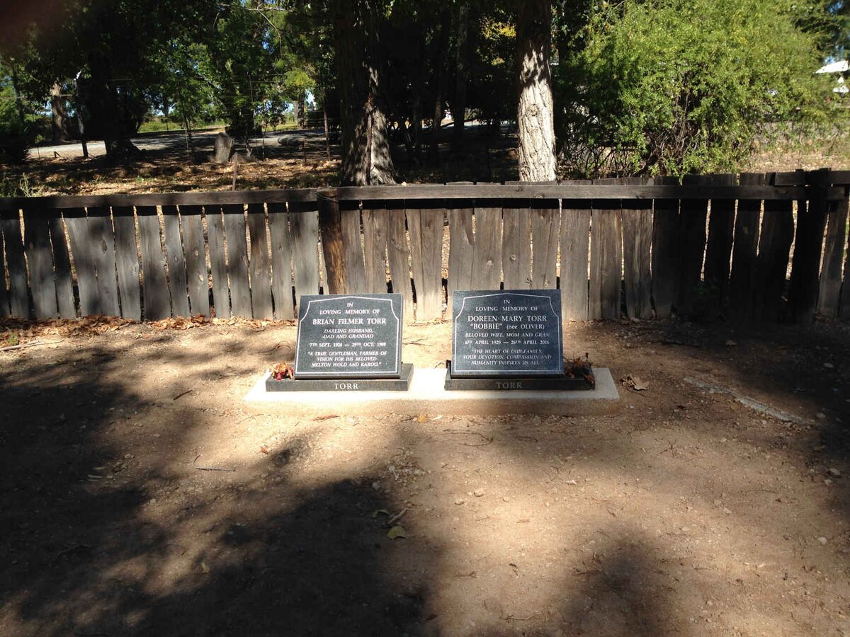 5. Overview TORR graves