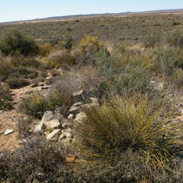 Northern Cape, VICTORIA WEST district, Witvlei 183, farm cemetery