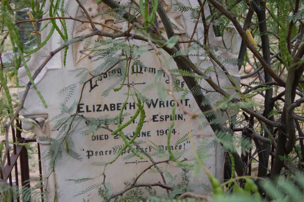 ESPLIN Elizabeth nee WRIGHT -1904