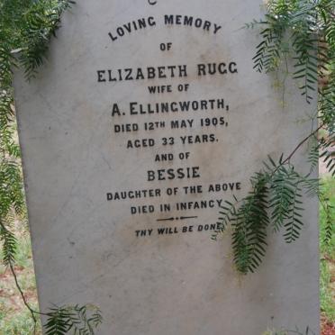 ELLINGWORTH Elizabeth nee RUGG -1905 :: ELLINGWORTH Bessie