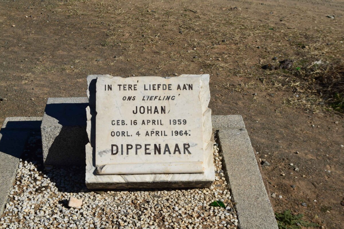 DIPPENAAR Johan 1959-1964