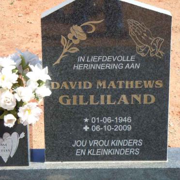 GILLILAND David Mathews 1946-2009