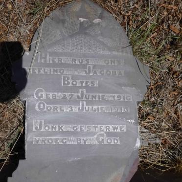 BOTES Jacoba 1916-1916