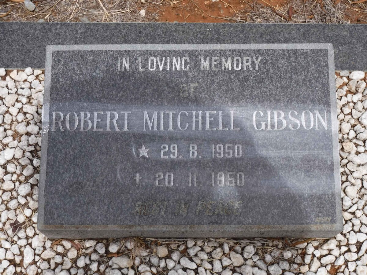 GIBSON Robert Mitchell 1950-1950