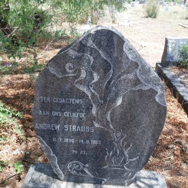 STRAUSS Andrew 1890-1963