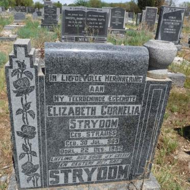 STRYDOM Elizabeth Cornelia nee STRAUSS 1909-1952