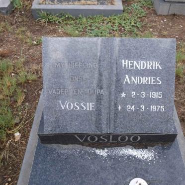VOSLOO Hendrik Andries 1915-1975