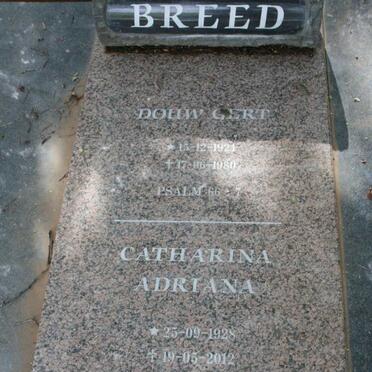 BREED :: BREEDT surnames