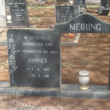 MEIRING Hannes 1940-1981