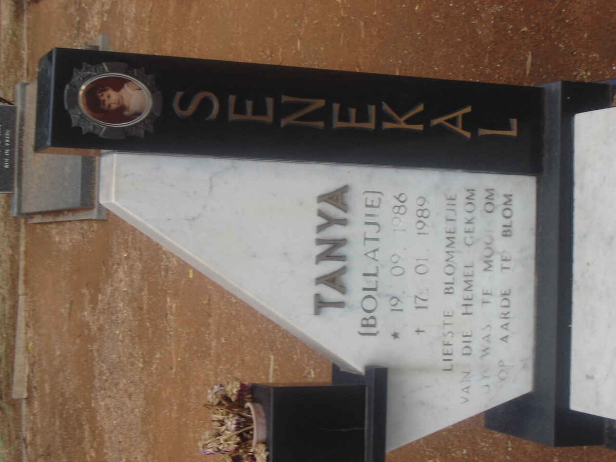 SENEKAL Tanya 1986-1989