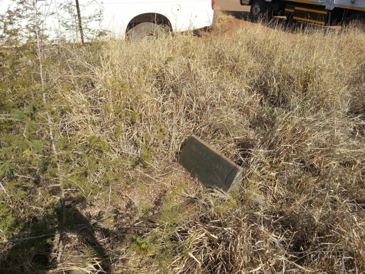 1. Overview / Oorsig