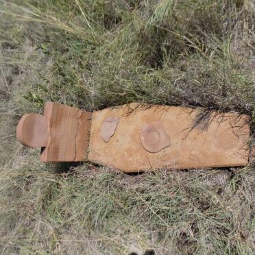 WILLEMSE Gert Stefanus 1926-1928