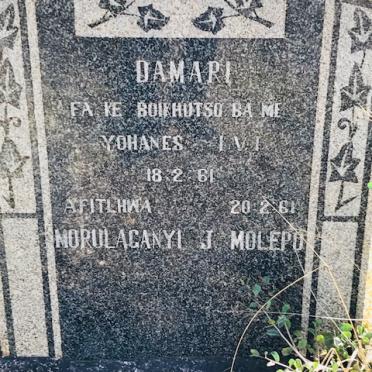 MOLEPO Damari 1961-1961