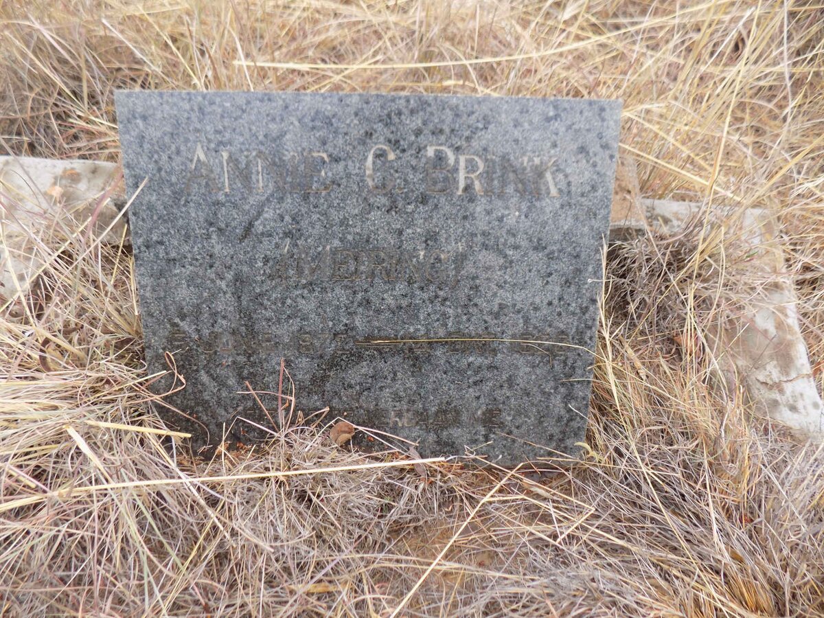 BRINK Annie C. nee MEIRING 1872-1926