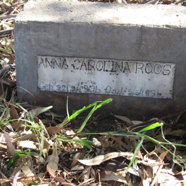 ROOS Anna Carolina 1896-1896