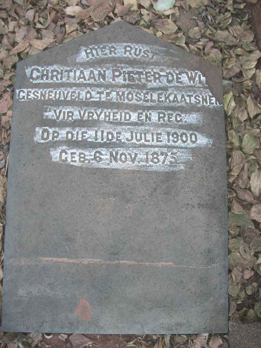 WIT Chritiaan Pieter, de 1875-1900