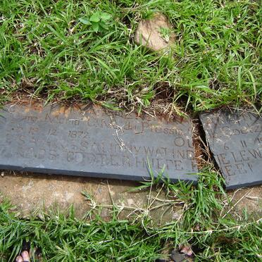 PLESSIS Maria C.M., du nee COETZEE 1872-1946