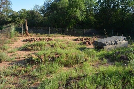 2. Oorsig / Overview