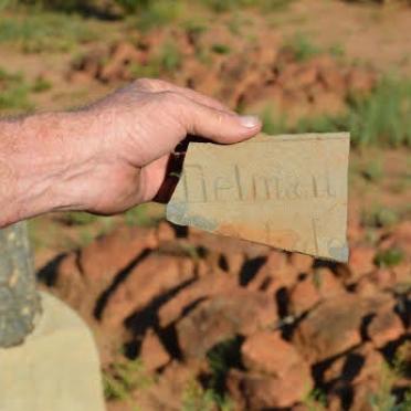 ROOS Tielman Franzois