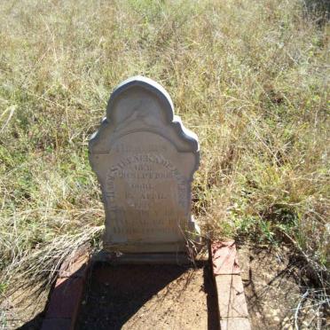 STEENKAMP ? 1905-1934