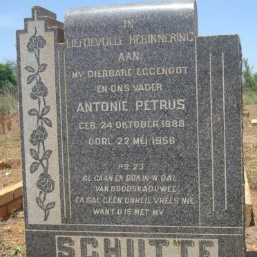 SCHUTTE Antonie Petrus 1888-1956