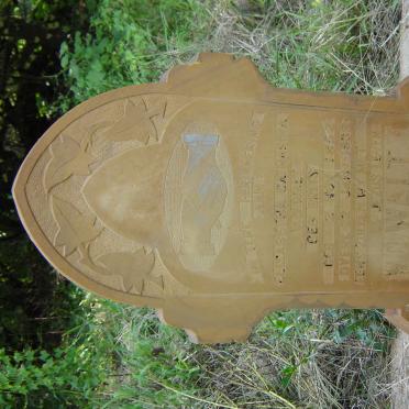 WALT Elizabeth Catharina, van der nee BRITS 1852-1932