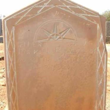 BYLEVELDT Dirk J. 1930 - ????