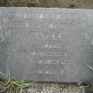 MAREE Anna Sophia Frederika nee THERON 1866-1953