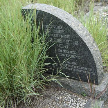 SMIDT Diederik Johannes 1871-1949